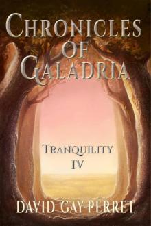 Tranquility Read online