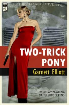 Two-Trick Pony (The Drifter Detective Book 8) Read online