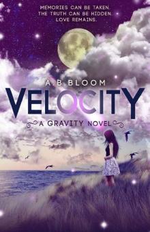Velocity: The Gravity Series #2 Read online