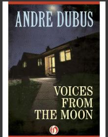 Voices from the Moon Read online