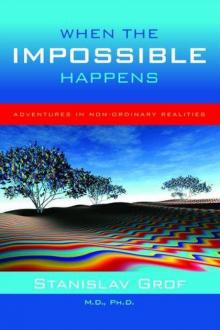 When the Impossible Happens Read online