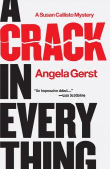 A Crack in Everything Read online