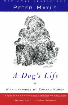 A Dog's Life Read online