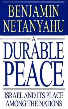 A Durable Peace Read online
