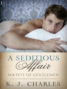 A Seditious Affair Read online