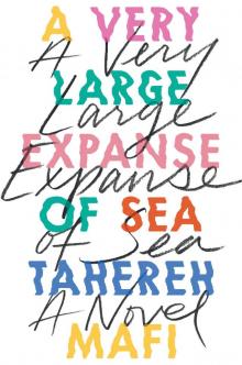A Very Large Expanse of Sea Read online