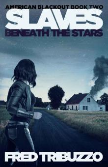 American Blackout (Book 2): Slaves Beneath The Stars Read online