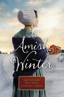 An Amish Winter Read online