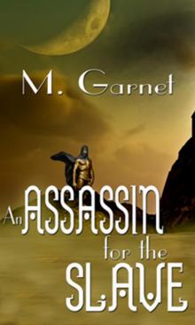 An Assassin for the Slave Read online