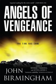 Angels of Vengeance: The Disappearance Novel 3