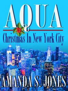 Aqua - Christmas in New York City (Aqua Romance Travel Series) Read online