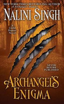 Archangel's Enigma (Guild Hunter) Read online