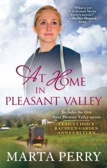 At Home in Pleasant Valley Read online