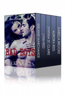 Bad Boys and Billionaires (The Naughty List Bundles)