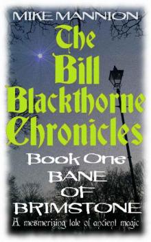 Bane of Brimstone (The Bill Blackthorne Chronicles Book 1)
