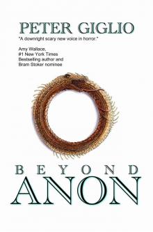 Beyond Anon Read online