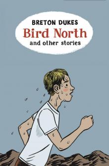 Bird North and Other Stories Read online