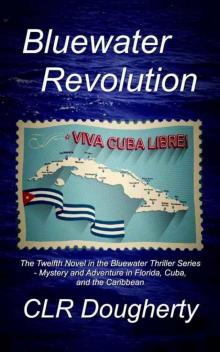 Bluewater Revolution: The Twelfth Novel in the Bluewater Thriller Series - Mystery and Adventure in Florida, Cuba, and the Caribbean (Bluewater Thrillers Book 12) Read online