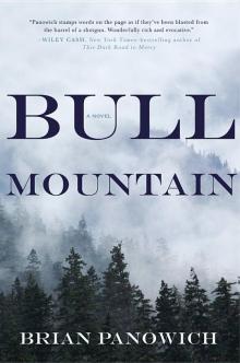 Bull Mountain Read online