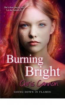 Burning Bright (Going Down in Flames) Read online