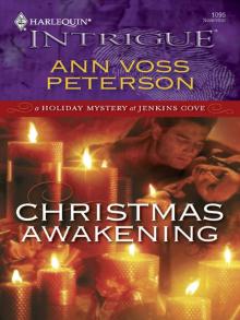 Christmas Awakening Read online