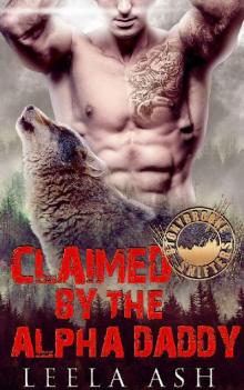 Claimed by the Alpha Daddy (Stonybrooke Shifters)