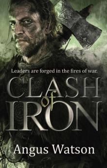 Clash of Iron Read online