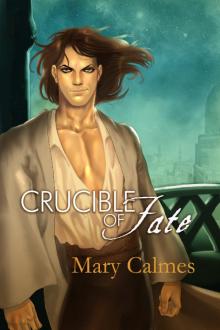 Crucible of Fate Read online