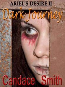 Dark Journey [Ariel's Desire 2] Read online