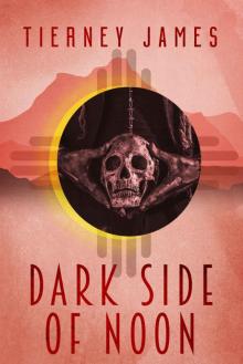 Dark Side of Noon (Wind Dancer Book 2) Read online