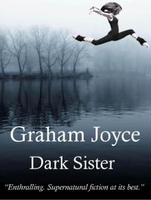 Dark Sister Read online