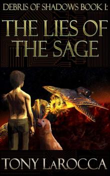 Debris of Shadows Book I: The Lies of the Sage