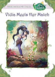 Disney Fairies: Vidia Meets Her Match Read online