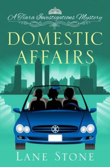 Domestic Affairs (Tiara Investigations Mystery) Read online