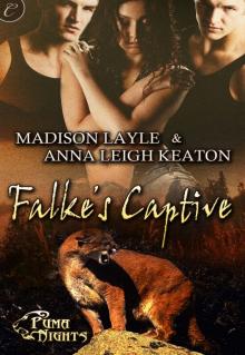 Falke’s Captive pn-2 Read online