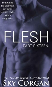 Flesh: Part Sixteen (The Flesh Series Book 16) Read online