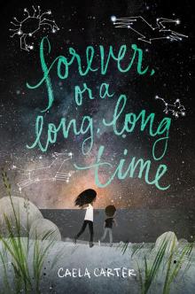 Forever, or a Long, Long Time Read online