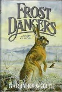 Frost Dancers: A Story of Hares Read online