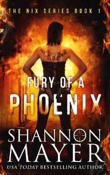 Fury of a Phoenix (The Nix Series Book 1) Read online