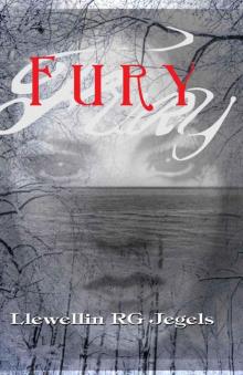 Fury Read online