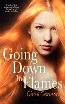 Going Down in Flames (Entangled Teen) Read online