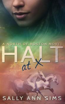 Halt at X: A North of Boston Novel