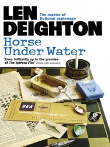 Horse Under Water Read online