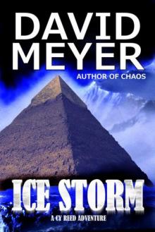 Ice Storm Read online
