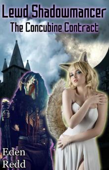 Lewd Shadowmancer: The Concubine Contract Read online