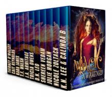 Magic Awakened: A Paranormal Romance Boxed Set Read online