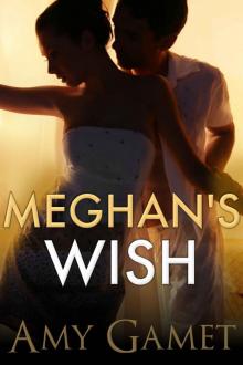 Meghan's Wish (Love and Danger) Read online