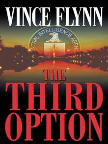 Mitch Rapp 02 - The Third Option Read online