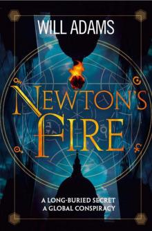 Newton’s Fire Read online