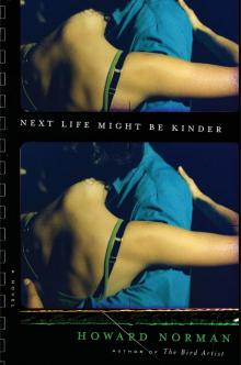 Next Life Might Be Kinder Read online